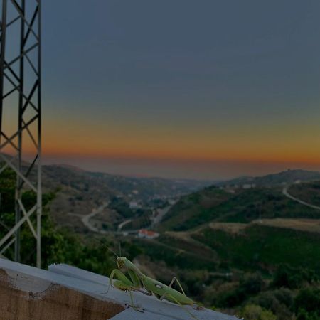 Casa Rural Malaga Monkey Love Con Jacuzzi Iznate Exteriör bild